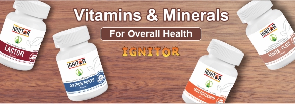 Ignitor Small Banner 3